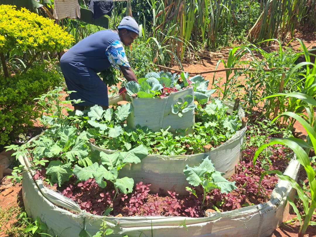 Social Seed Uganda