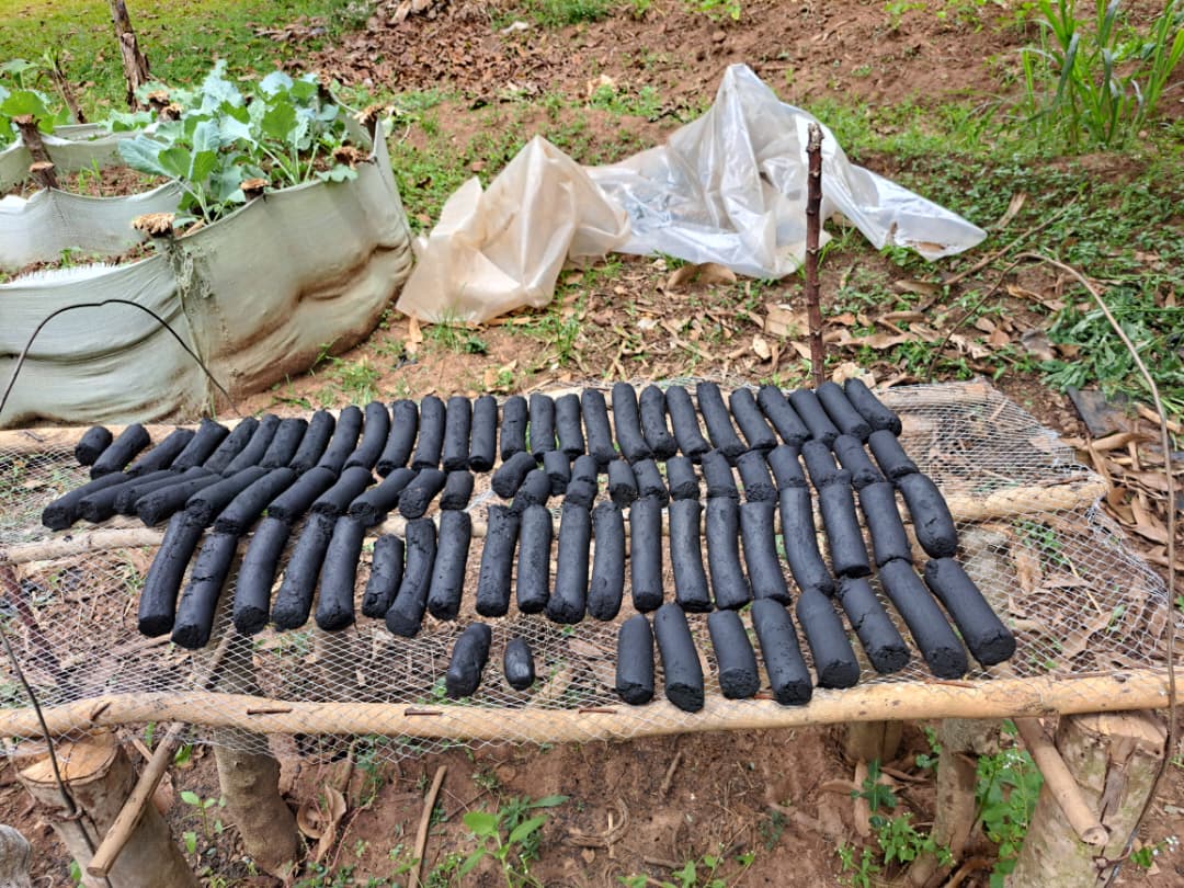 Social Seed Uganda