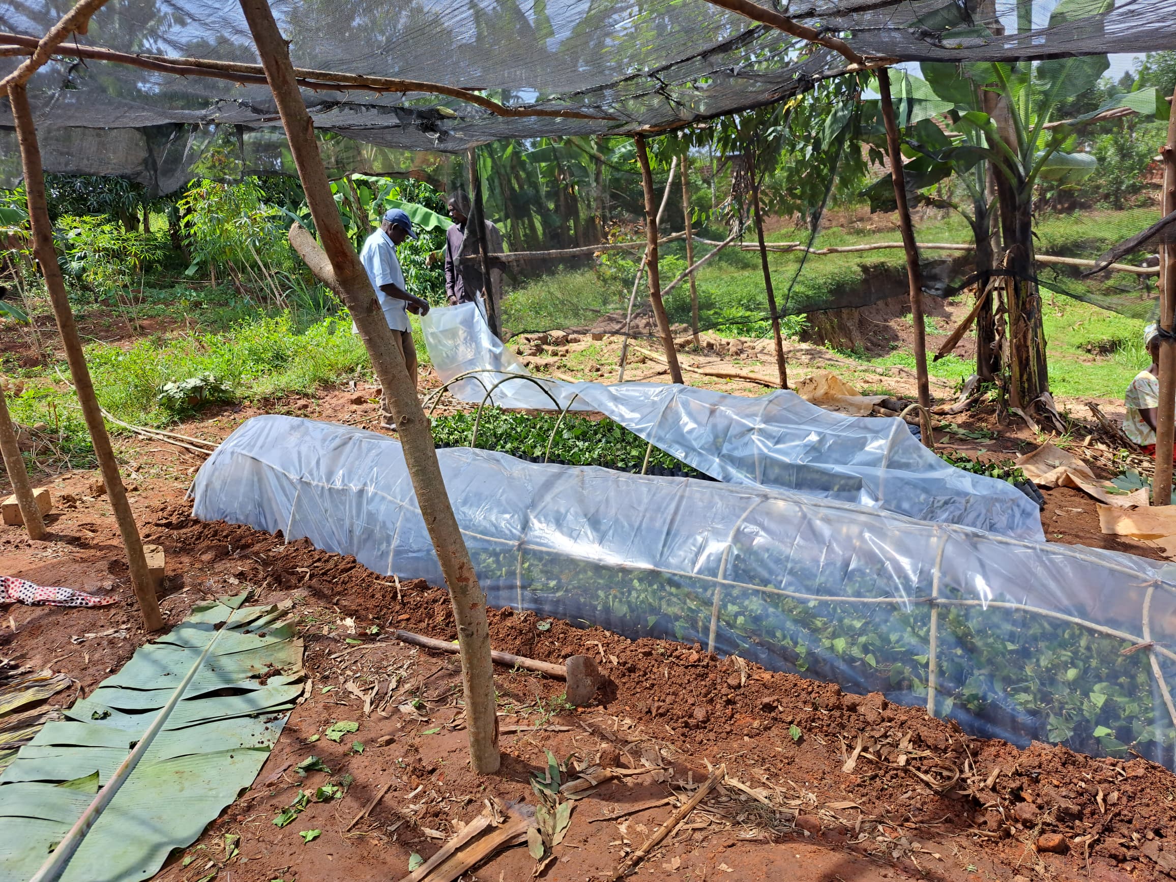 Social Seed Uganda